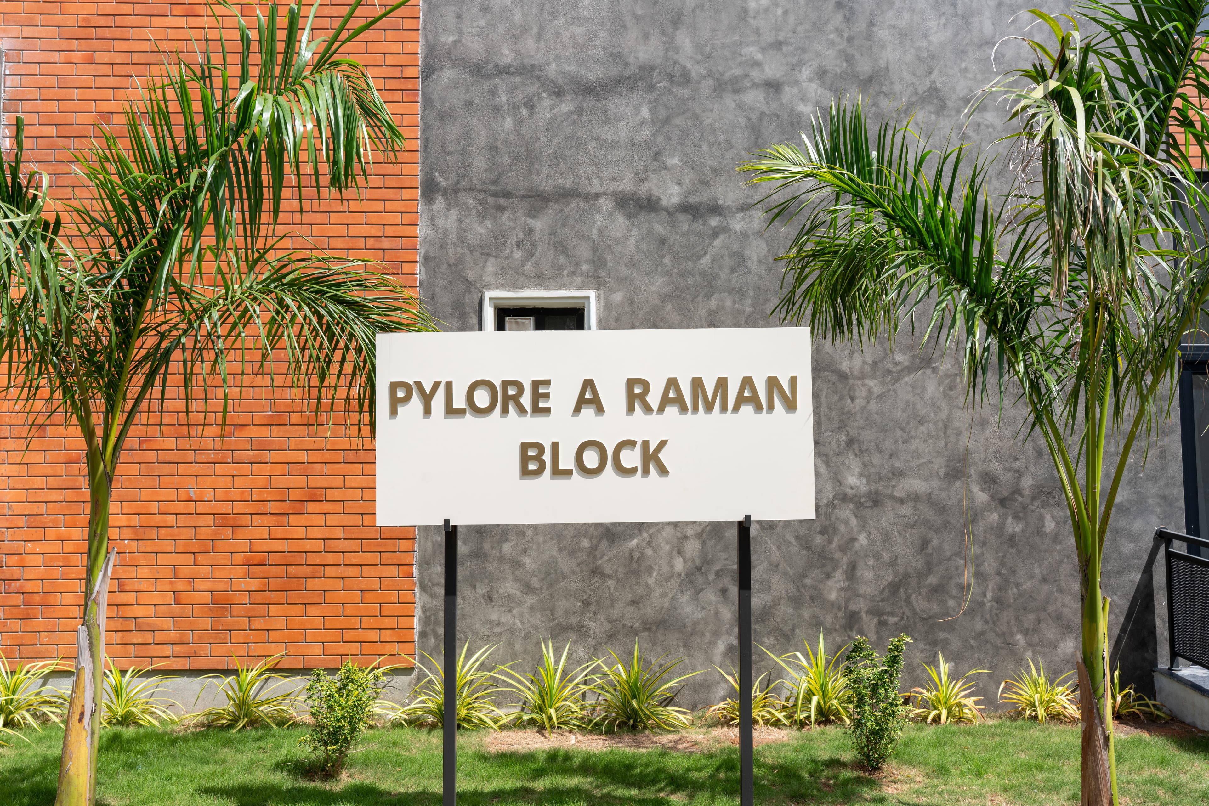 Phase 3 Premium Amenities