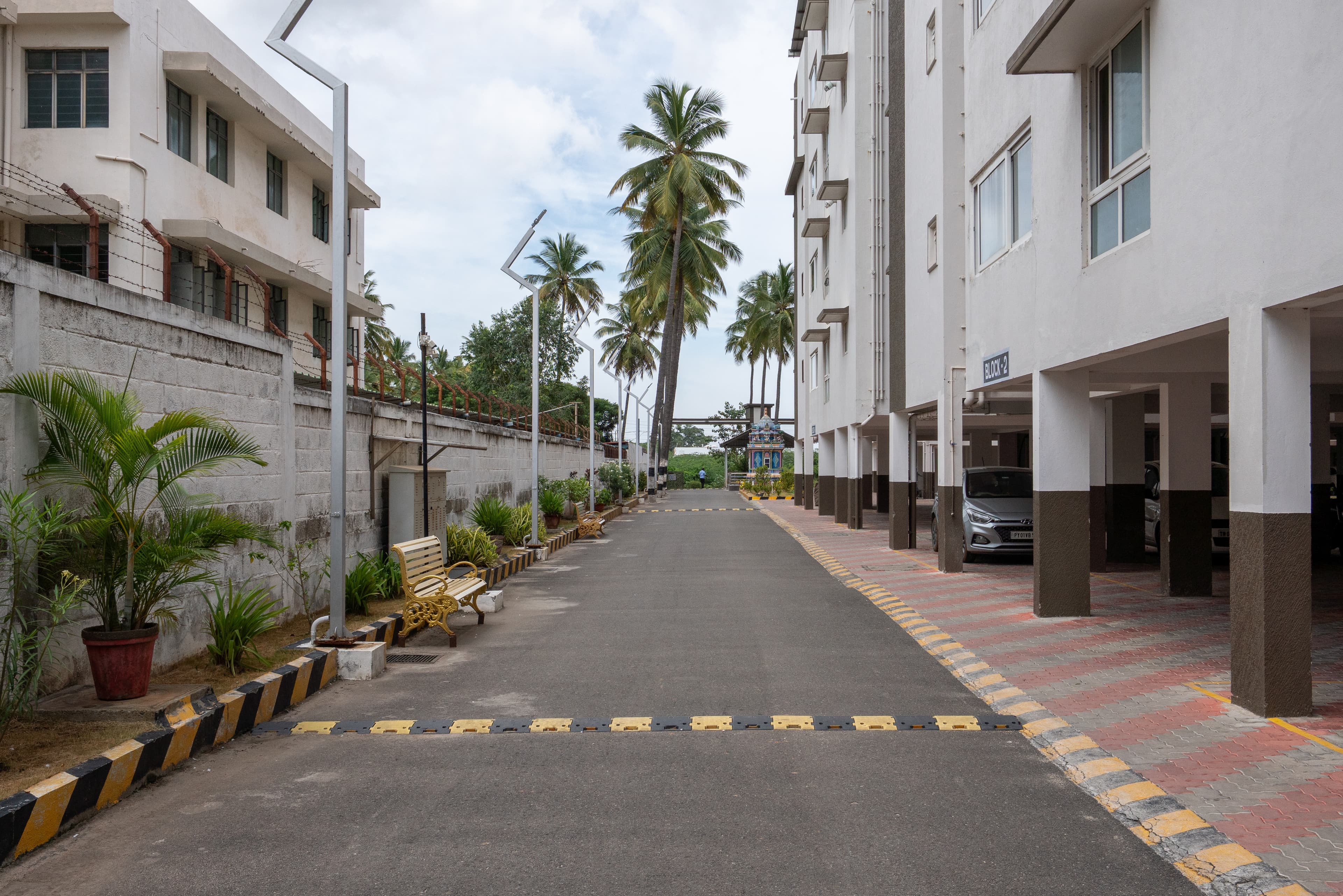 Nutritious Vegetarian Cuisine